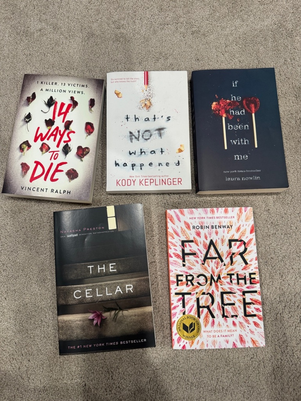 Lot of Paperback Books / Novels